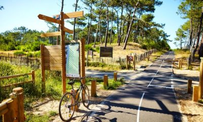 Signalétique_La Vélodyssée