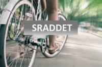 SRADDET