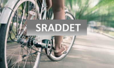 SRADDET