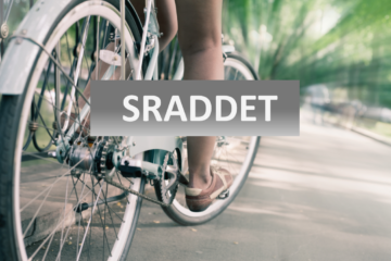 SRADDET