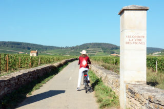 La véloroute de la voie des vignes - Côte-d'Or Tourisme © R.Krebel
