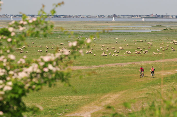 Velo©Somme-tourisme-NicolasBryant (110)