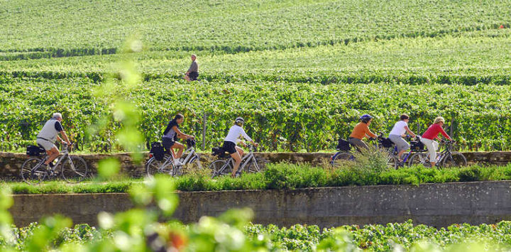 velos-vignoble_photo-alain-doire_bourgogne-tourisme