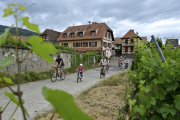 Slow Up 2022 - Promenade a velo dans le vignoble autour de Dambach