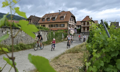 Slow Up 2022 - Promenade a velo dans le vignoble autour de Dambach