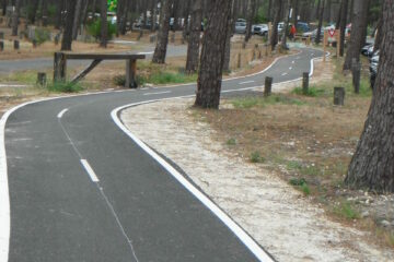 DSCF0564
